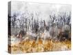 Stretched Canvas Print