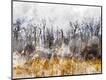 Premium Giclee Print