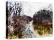 Stretched Canvas Print