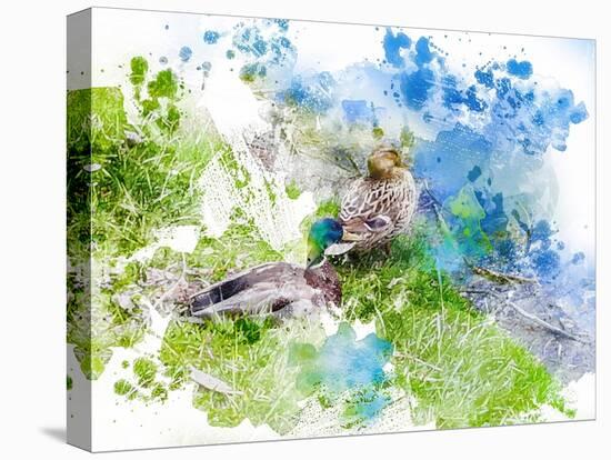Stretched Canvas Print, , large