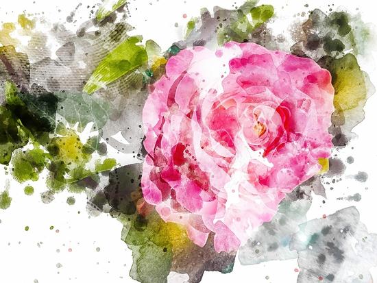 Art Print, , large
