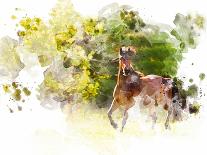 Stallions-Chamira Young-Art Print