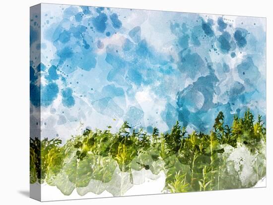 Stretched Canvas Print, , large
