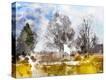 Stretched Canvas Print