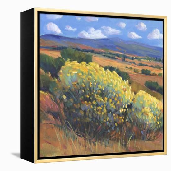 Chamisa I-Tim OToole-Framed Stretched Canvas