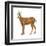 Chamois (Rupicapra Rupicapra), Mammals-Encyclopaedia Britannica-Framed Art Print