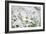 Chamomile (Anthemis Punctata Cupaniana)-Adrian Bicker-Framed Photographic Print