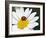 Chamomile Flower And Ladybird-Adrian Bicker-Framed Photographic Print