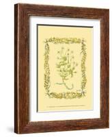 Chamomile-Wendy Russell-Framed Art Print