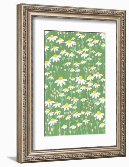 Chamomile-Gigi Rosado-Framed Photographic Print