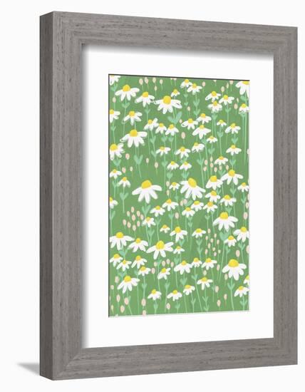 Chamomile-Gigi Rosado-Framed Photographic Print