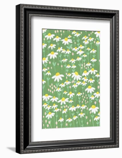 Chamomile-Gigi Rosado-Framed Photographic Print