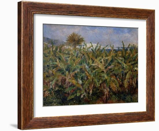 Champ de bananiers-Pierre-Auguste Renoir-Framed Giclee Print