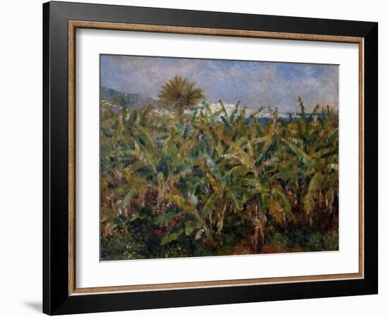 Champ de bananiers-Pierre-Auguste Renoir-Framed Giclee Print