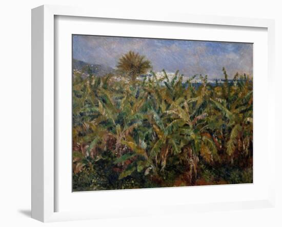 Champ de bananiers-Pierre-Auguste Renoir-Framed Giclee Print