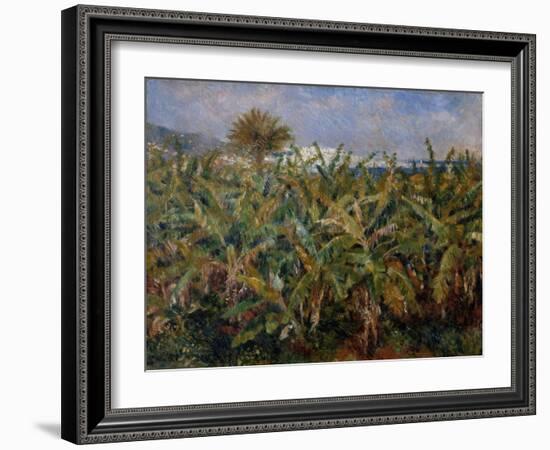 Champ de bananiers-Pierre-Auguste Renoir-Framed Giclee Print