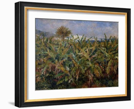 Champ de bananiers-Pierre-Auguste Renoir-Framed Giclee Print