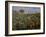 Champ de bananiers-Pierre-Auguste Renoir-Framed Giclee Print