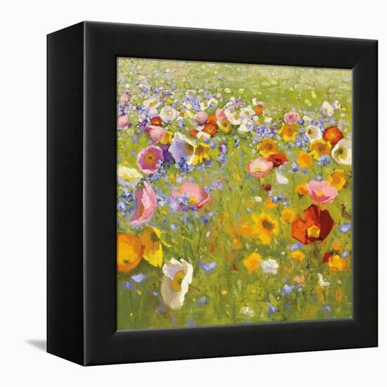 Champ de Fleur I-Shirley Novak-Framed Stretched Canvas