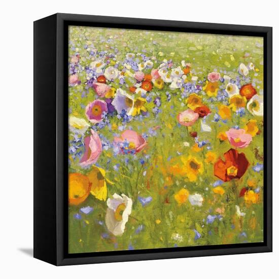 Champ de Fleur I-Shirley Novak-Framed Stretched Canvas