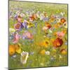 Champ de Fleur I-Shirley Novak-Mounted Art Print