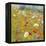 Champ de Fleur II-Shirley Novak-Framed Stretched Canvas