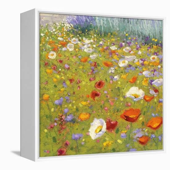 Champ de Fleur II-Shirley Novak-Framed Stretched Canvas