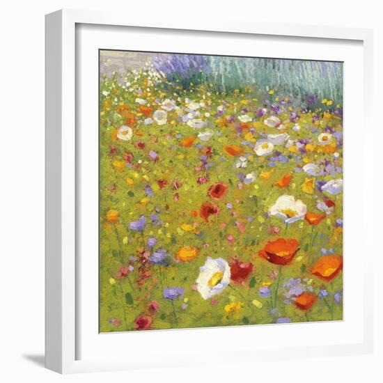 Champ de Fleur II-Shirley Novak-Framed Art Print