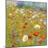 Champ de Fleur II-Shirley Novak-Mounted Art Print