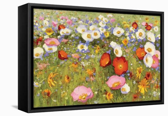 Champ de Fleur III-Shirley Novak-Framed Stretched Canvas