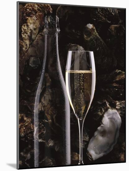 Champagne and Oysters-null-Mounted Photographic Print