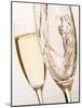 Champagne Being Poured into Glass-null-Mounted Photographic Print