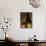 Champagne Bottle with Cork-Joerg Lehmann-Photographic Print displayed on a wall