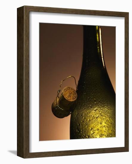 Champagne Bottle with Cork-Joerg Lehmann-Framed Photographic Print