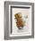 Champagne Cork-Tom Grill-Framed Photographic Print