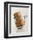 Champagne Cork-Tom Grill-Framed Photographic Print