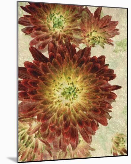 Champagne Floral III-Collezione Botanica-Mounted Giclee Print