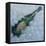 Champagne on Ice, 2012-Lincoln Seligman-Framed Premier Image Canvas