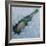 Champagne on Ice, 2012-Lincoln Seligman-Framed Giclee Print