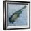 Champagne on Ice, 2012-Lincoln Seligman-Framed Giclee Print