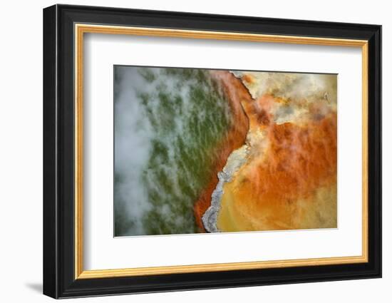 Champagne Pool and Artists Palette, Waiotapu Thermal Reserve, Rotorua, North Island, New Zealand-David Wall-Framed Photographic Print