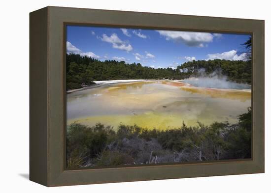 Champagne Pool, Hot Springs, Waiotapu Goethermal Wonderland, Rotorua, New Zealand, Oceania-Jeremy Bright-Framed Premier Image Canvas