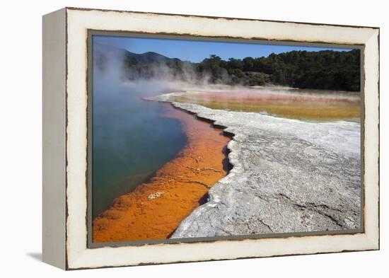 Champagne Pool, Hot Springs, Waiotapu Goethermal Wonderland, Rotorua, New Zealand, Oceania-Jeremy Bright-Framed Premier Image Canvas