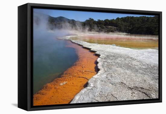 Champagne Pool, Hot Springs, Waiotapu Goethermal Wonderland, Rotorua, New Zealand, Oceania-Jeremy Bright-Framed Premier Image Canvas