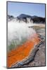 Champagne Pool, Wai-O-Tapu Thermal Wonderland, Bay of Plenty, North Island, New Zealand-Rainer Mirau-Mounted Photographic Print