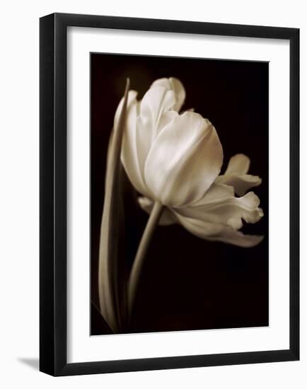 Champagne Tulip I-Charles Britt-Framed Giclee Print