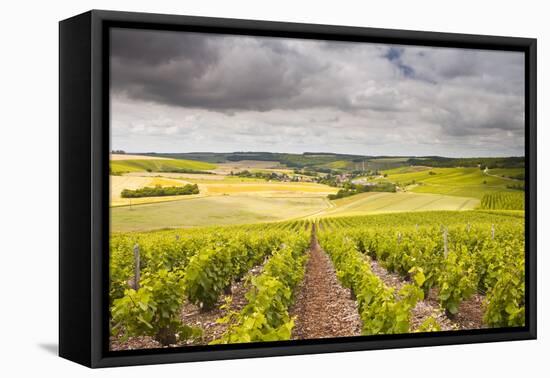 Champagne Vineyards Above the Village of Noe Les Mallets in the Cote Des Bar Area of Aube-Julian Elliott-Framed Premier Image Canvas