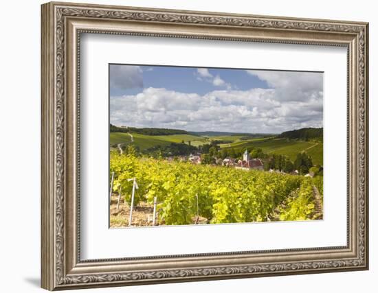 Champagne Vineyards Above the Village of Viviers Sur Artaut-Julian Elliott-Framed Photographic Print