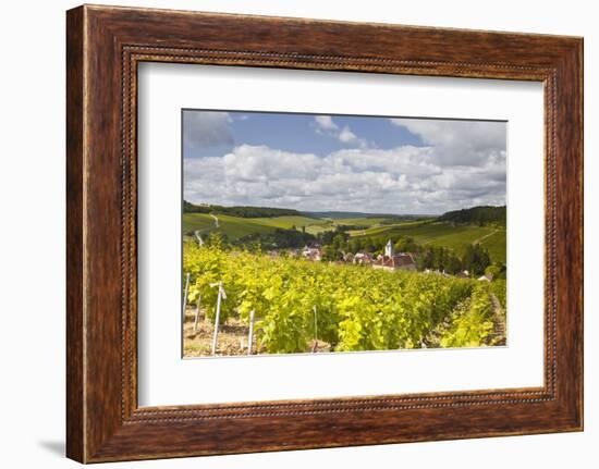 Champagne Vineyards Above the Village of Viviers Sur Artaut-Julian Elliott-Framed Photographic Print