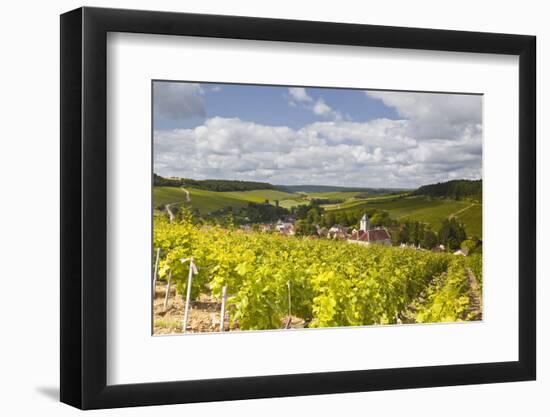 Champagne Vineyards Above the Village of Viviers Sur Artaut-Julian Elliott-Framed Photographic Print